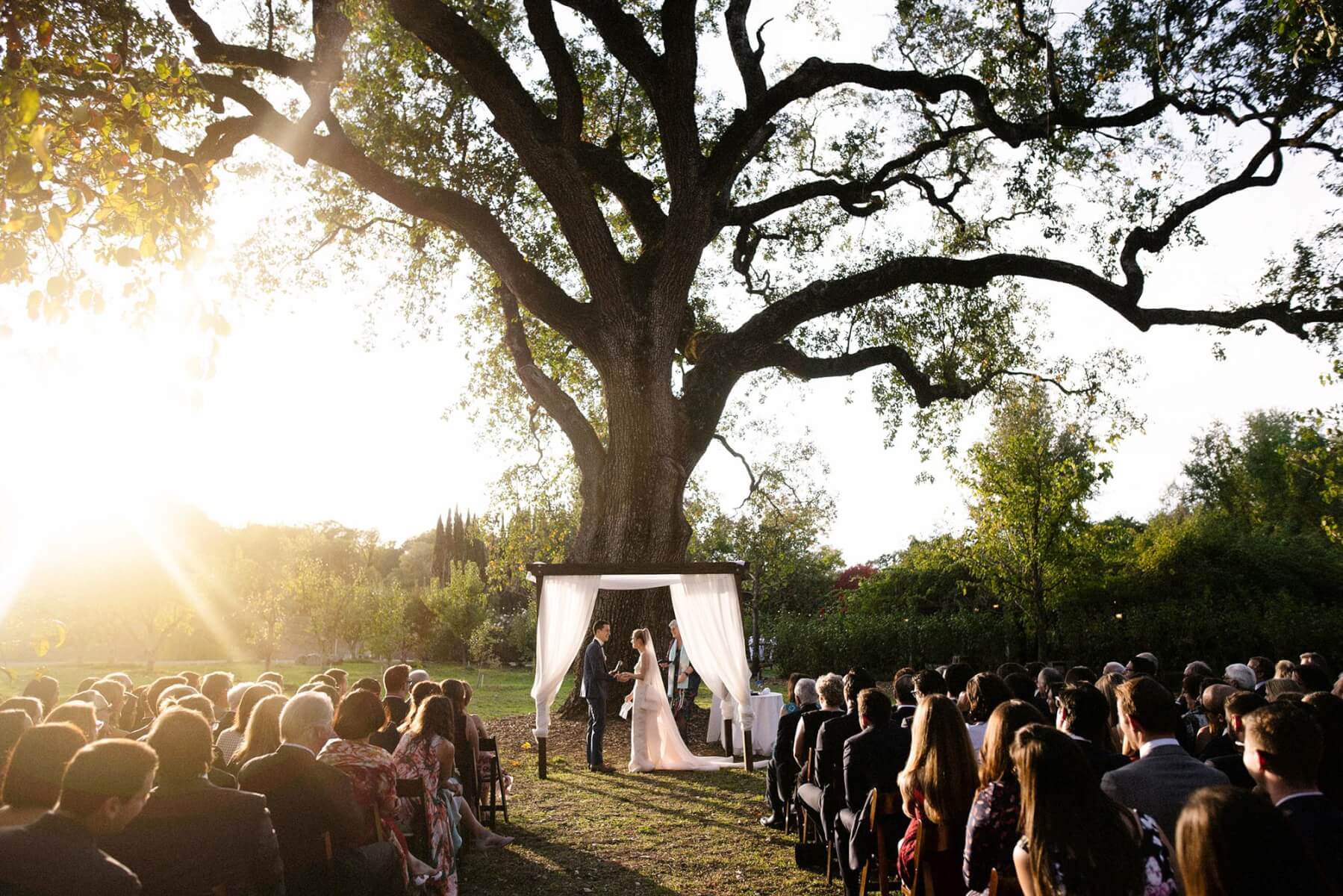Bride and groom standing under chuppah during wedding ceremony while attendees watch