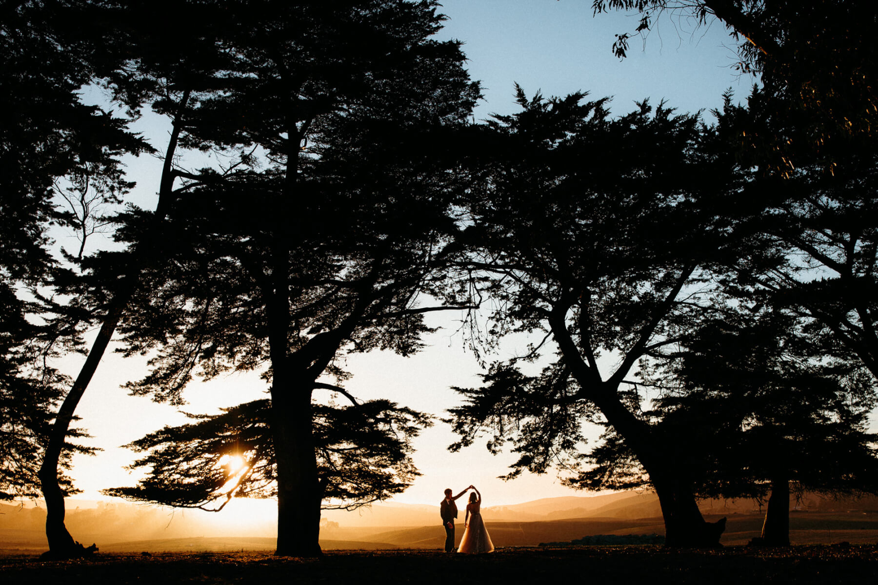 Groom twirling bride between towering trees under the Marin County sunset