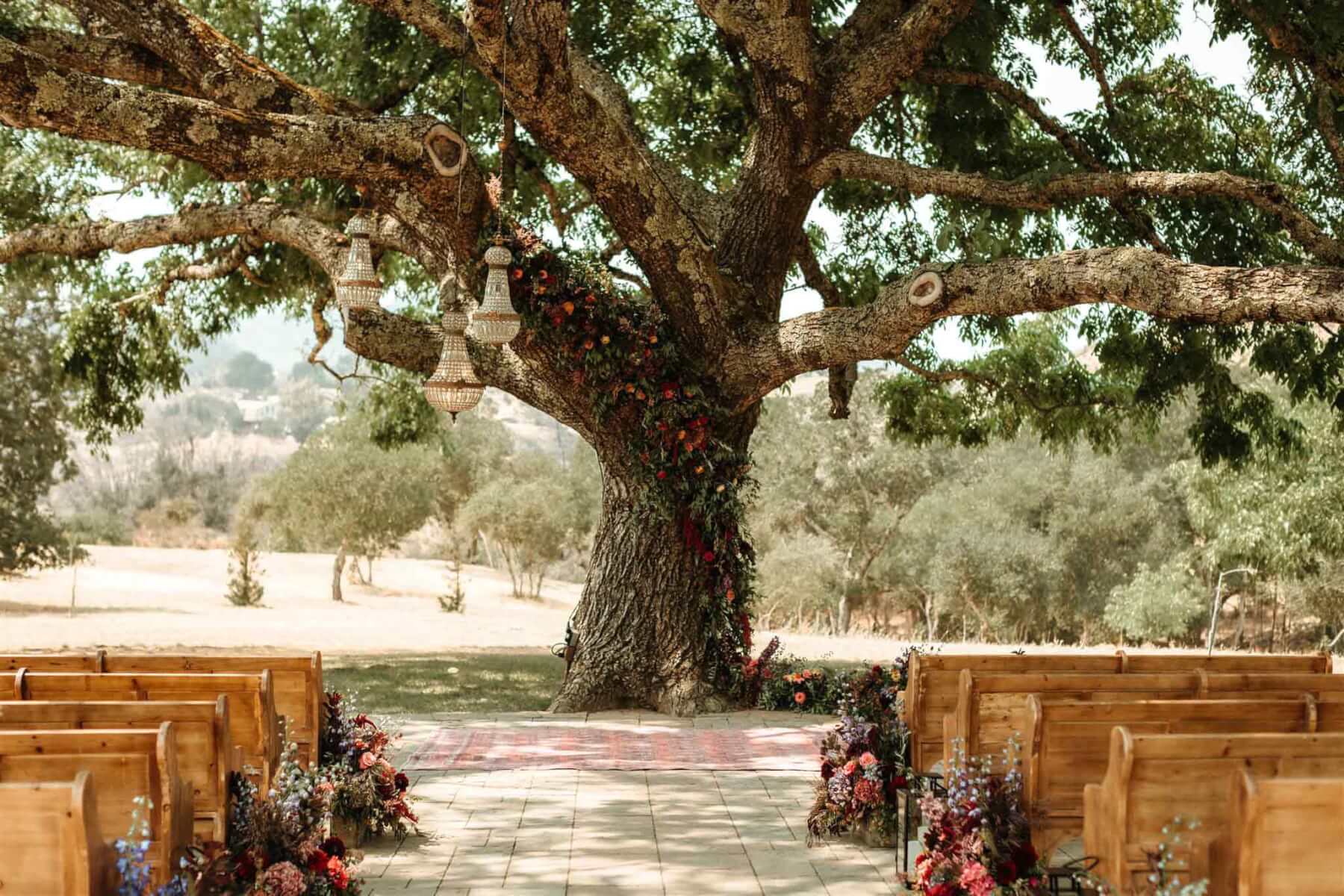 an outdoor wedding view of the empty benches and aisle with a tree at the front, decorated with a swath of flowers