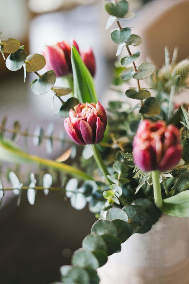 Closeup of pink tulip-like flowers and greenery
