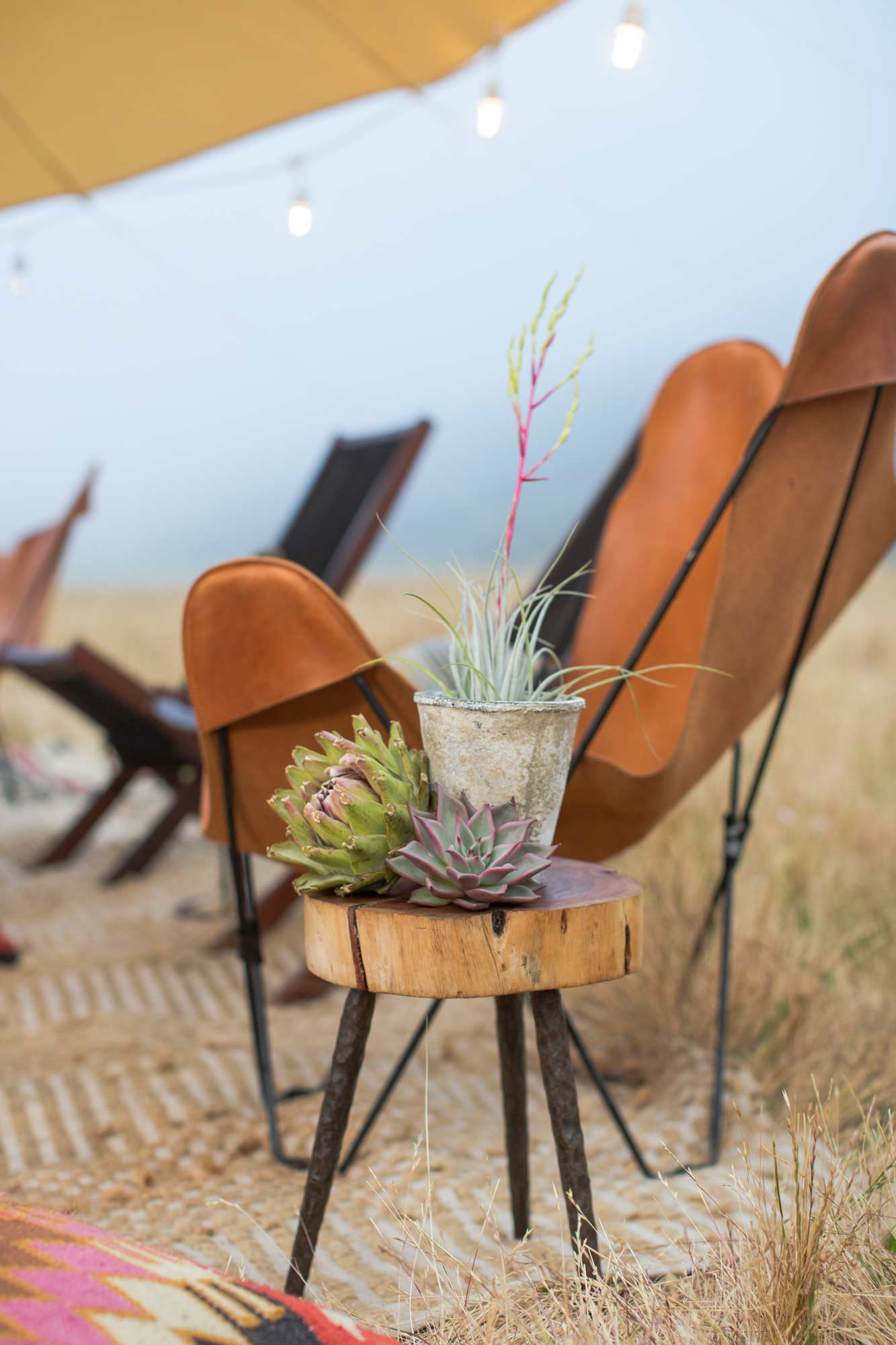 a wooden table topped with potted plant and succulents and a leather camp chair in an outdoor ranch setting