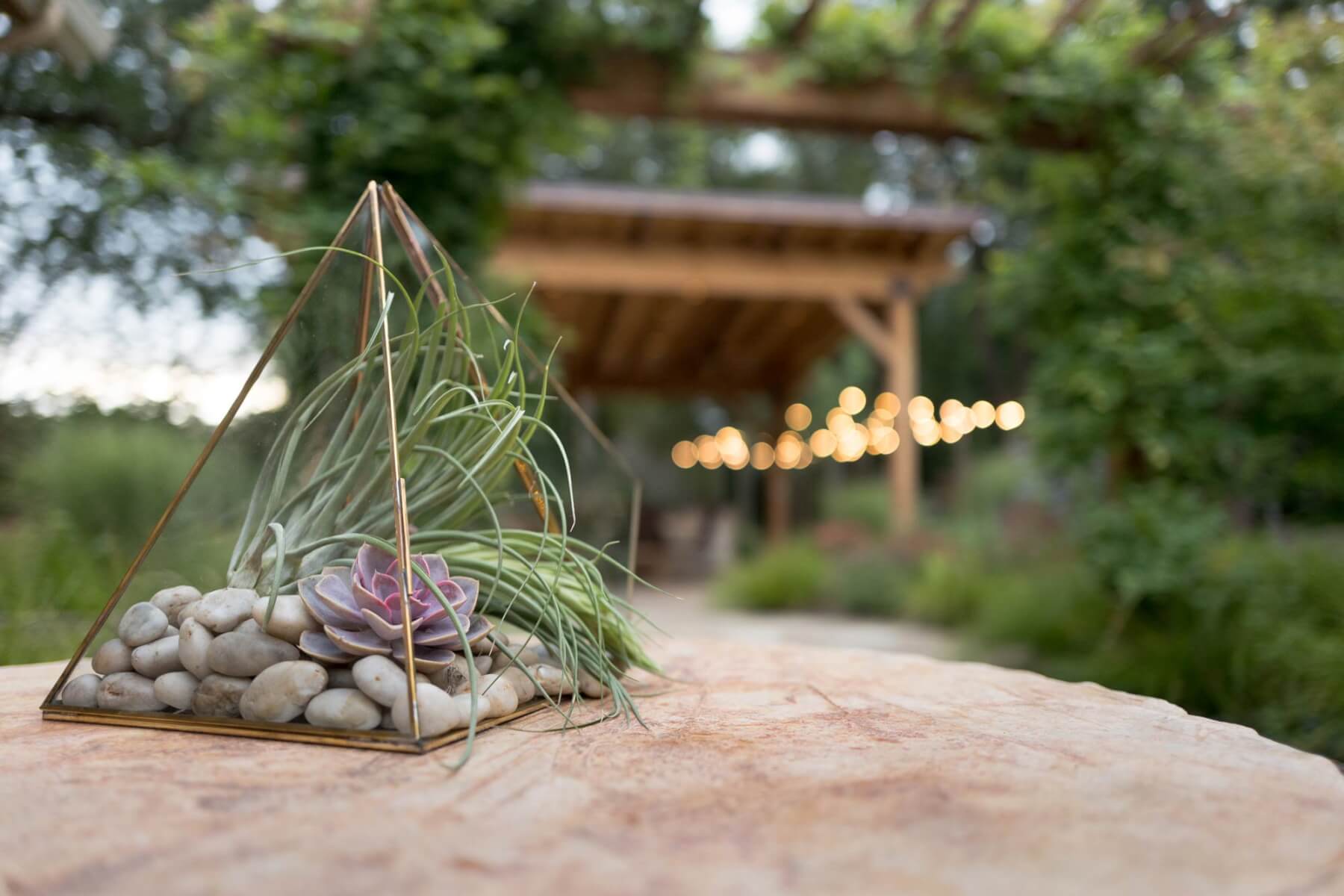 a triangular glass container with stones, succulent, and air plant and a garden party setting in the background