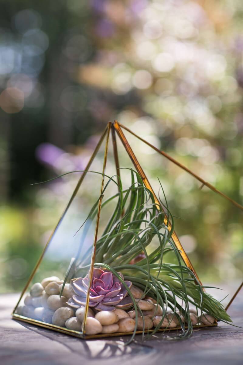 a triangle shaped glass container with a succulent and air plant sitting on stones