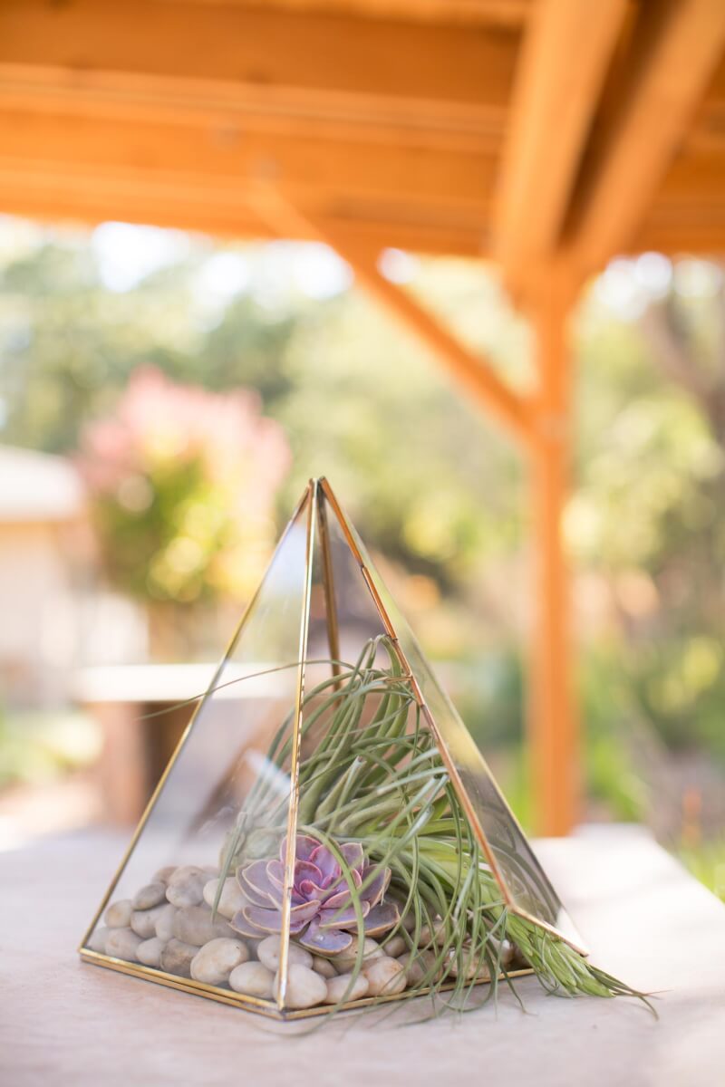 a glass pyramid with a succulent and air plant inside of it