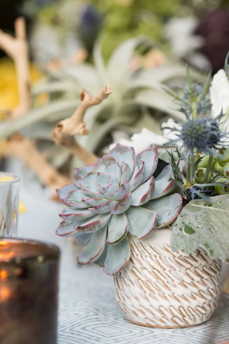 a close up of a vase with succulents and flowers on a table set for a private garden party