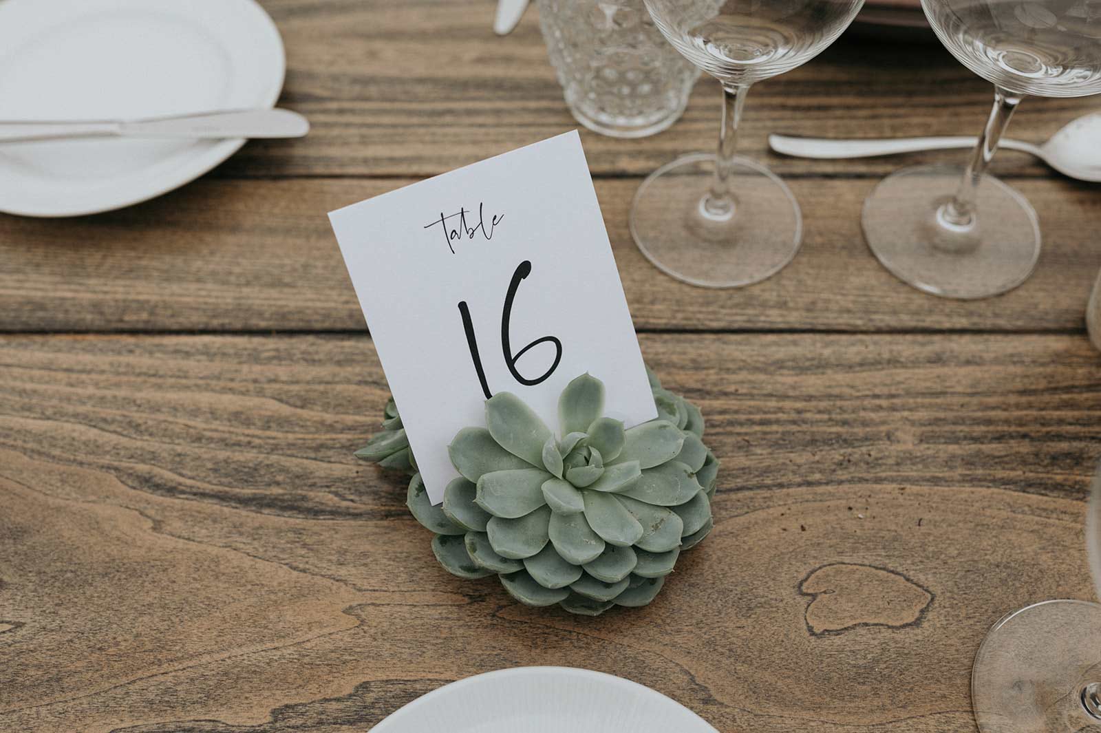wedding table number written on a card tucked into a succulent