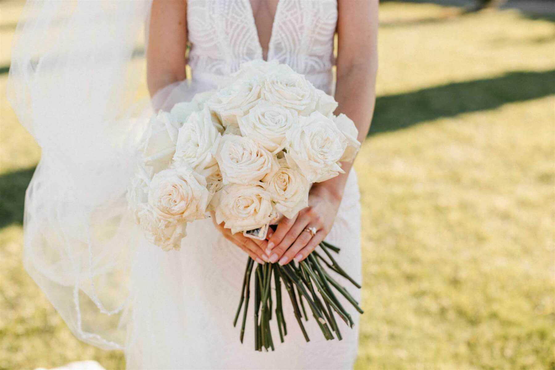 Close up of the bridal bouquet of simple and elegant white roses, held by the bride standing outdoors on the sunny grass.